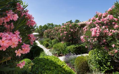 Au jardin, il est temps de...